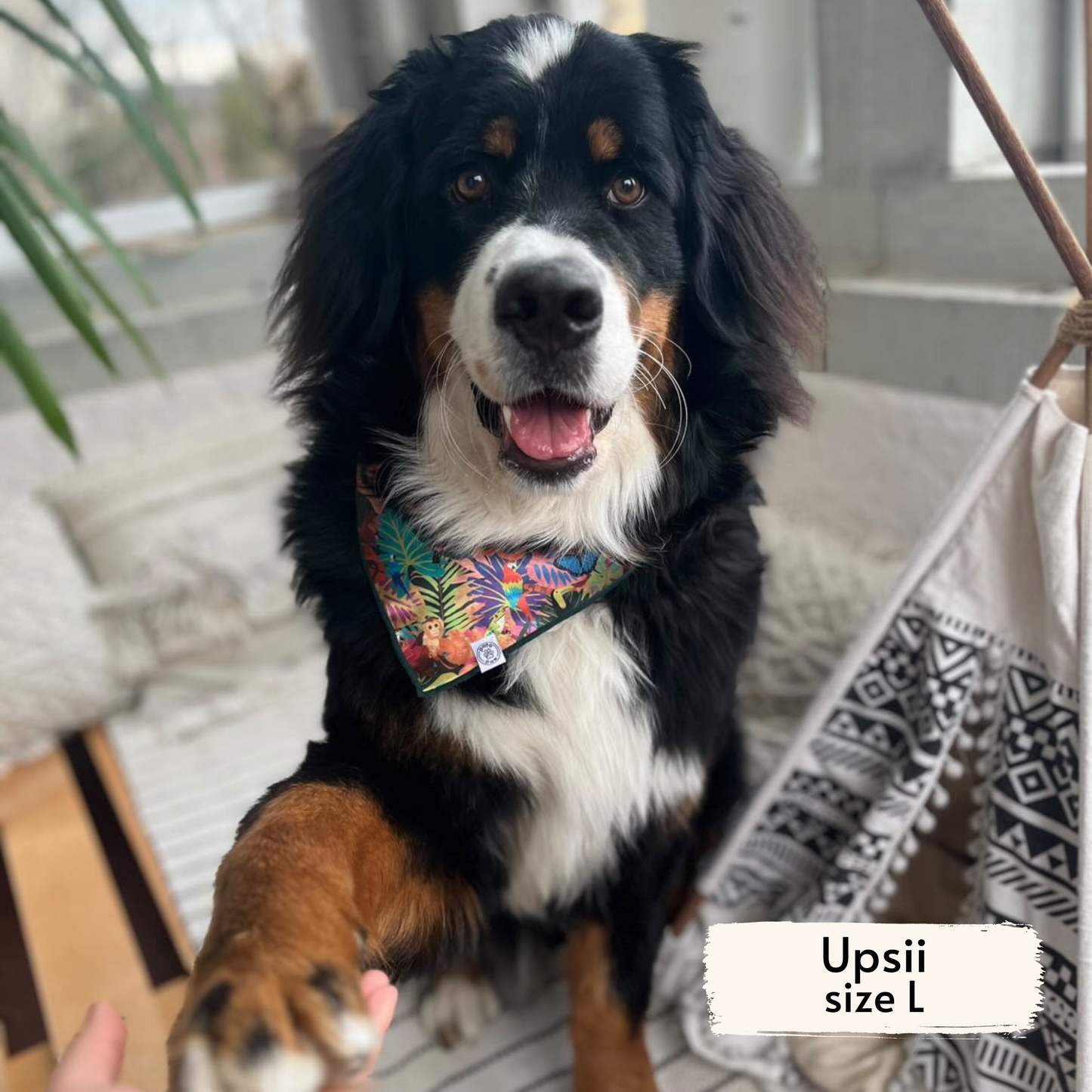 costa rican rainforest bandana