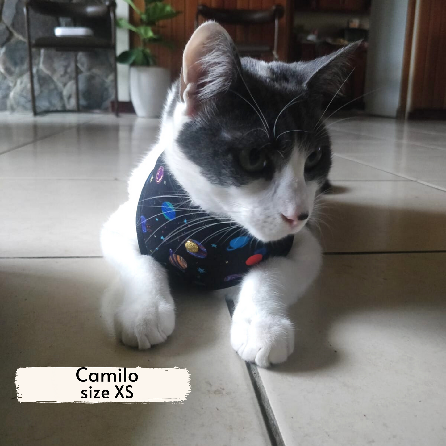 space explorer reversible harness