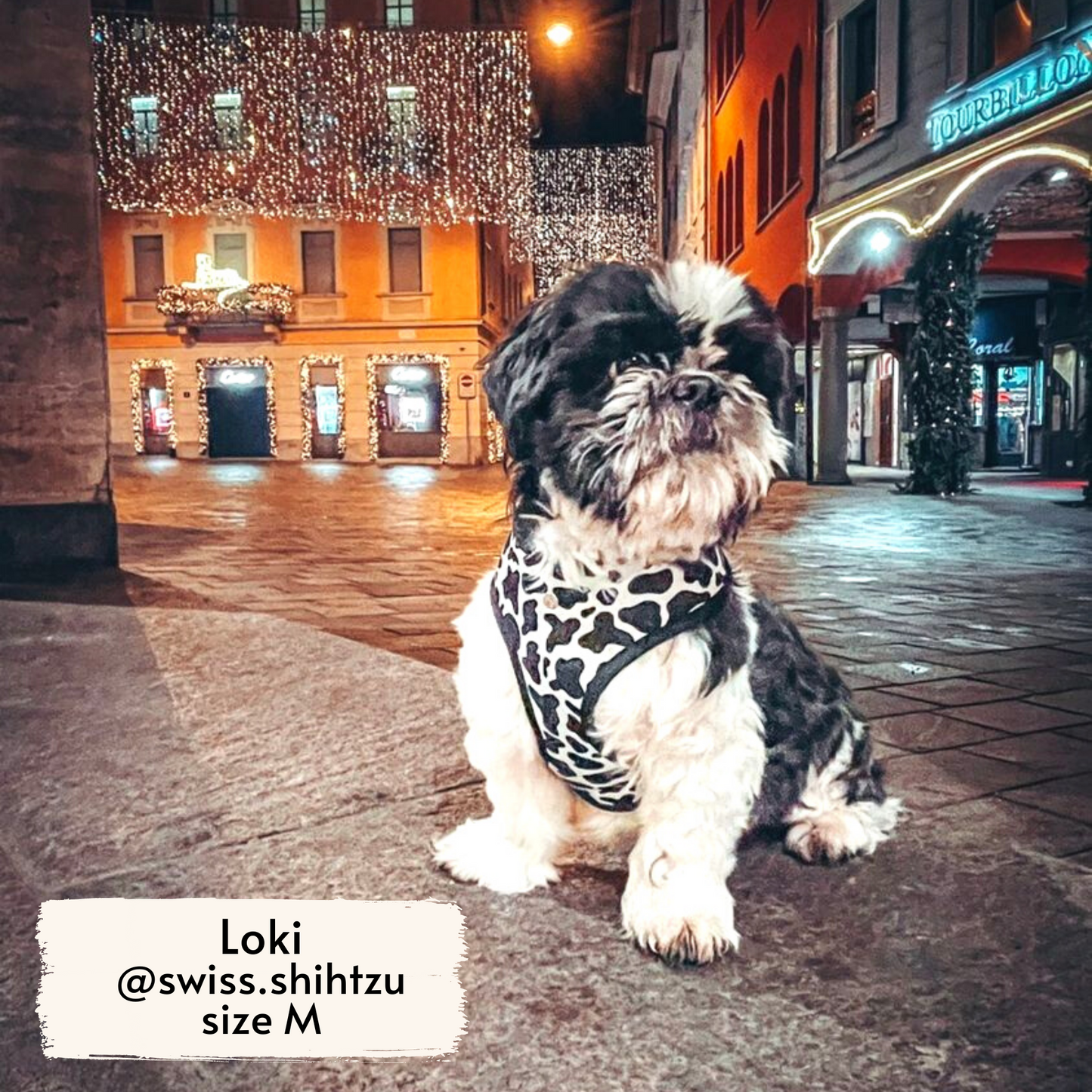 moo reversible harness