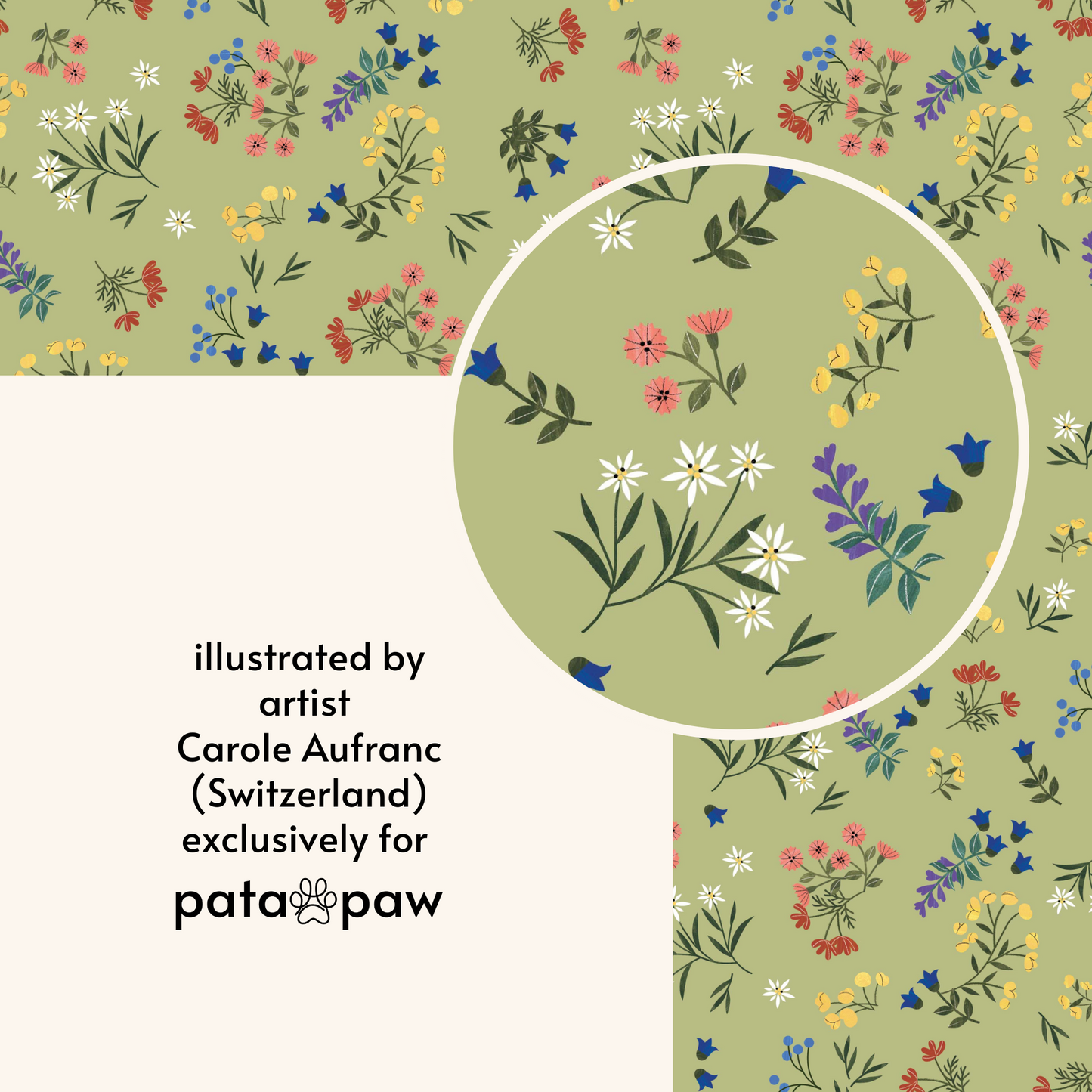 alpine wildflowers walking set