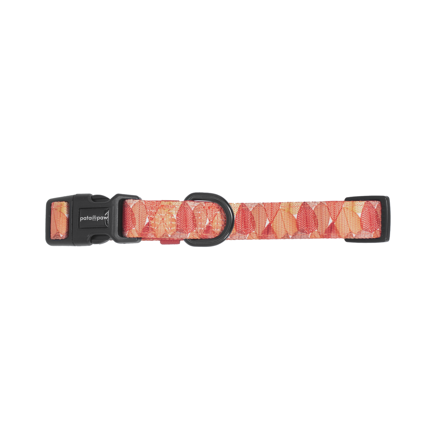 Pata Paw autumn crunch collar.