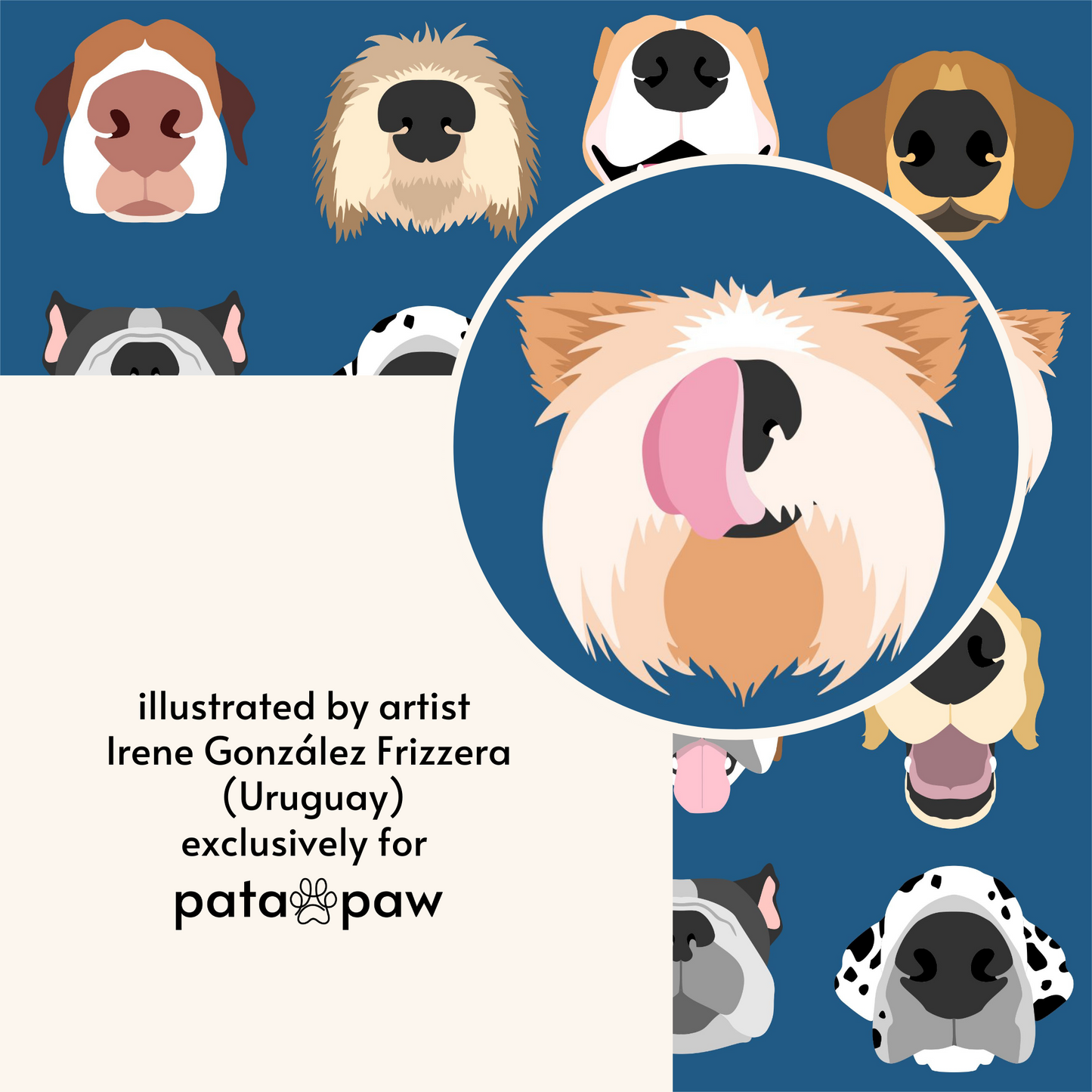 boops reversible harness