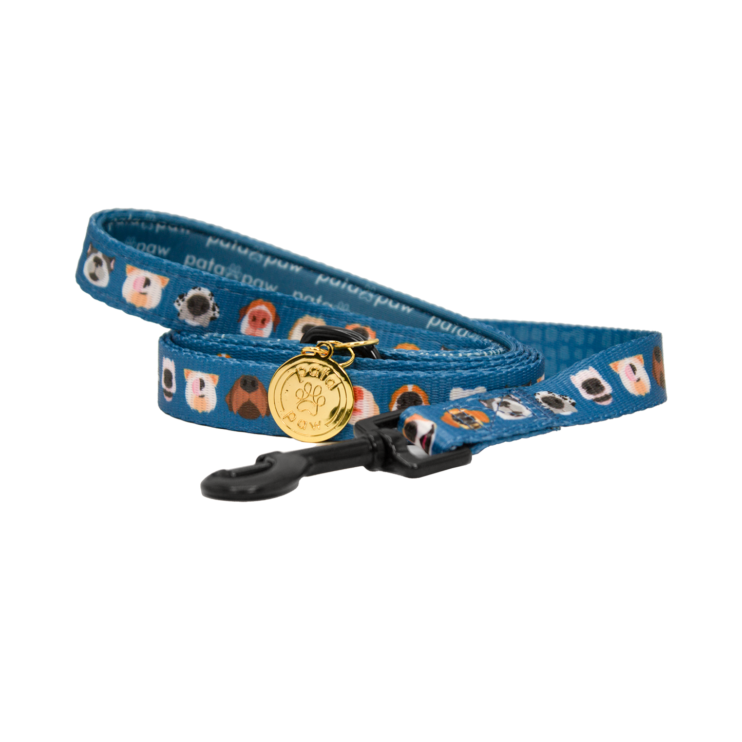 Pata Paw boops leash rolled up