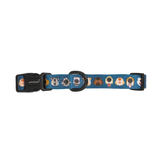 Pata Paw boops collar.