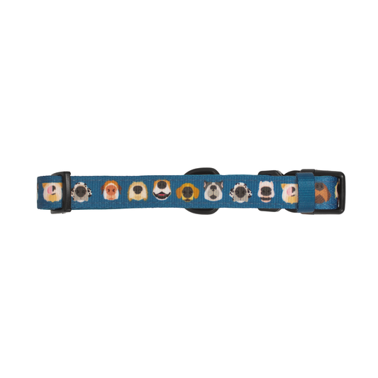 Pata Paw blush hearts collar.