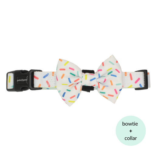 pata paw confetti bowtie and collar
