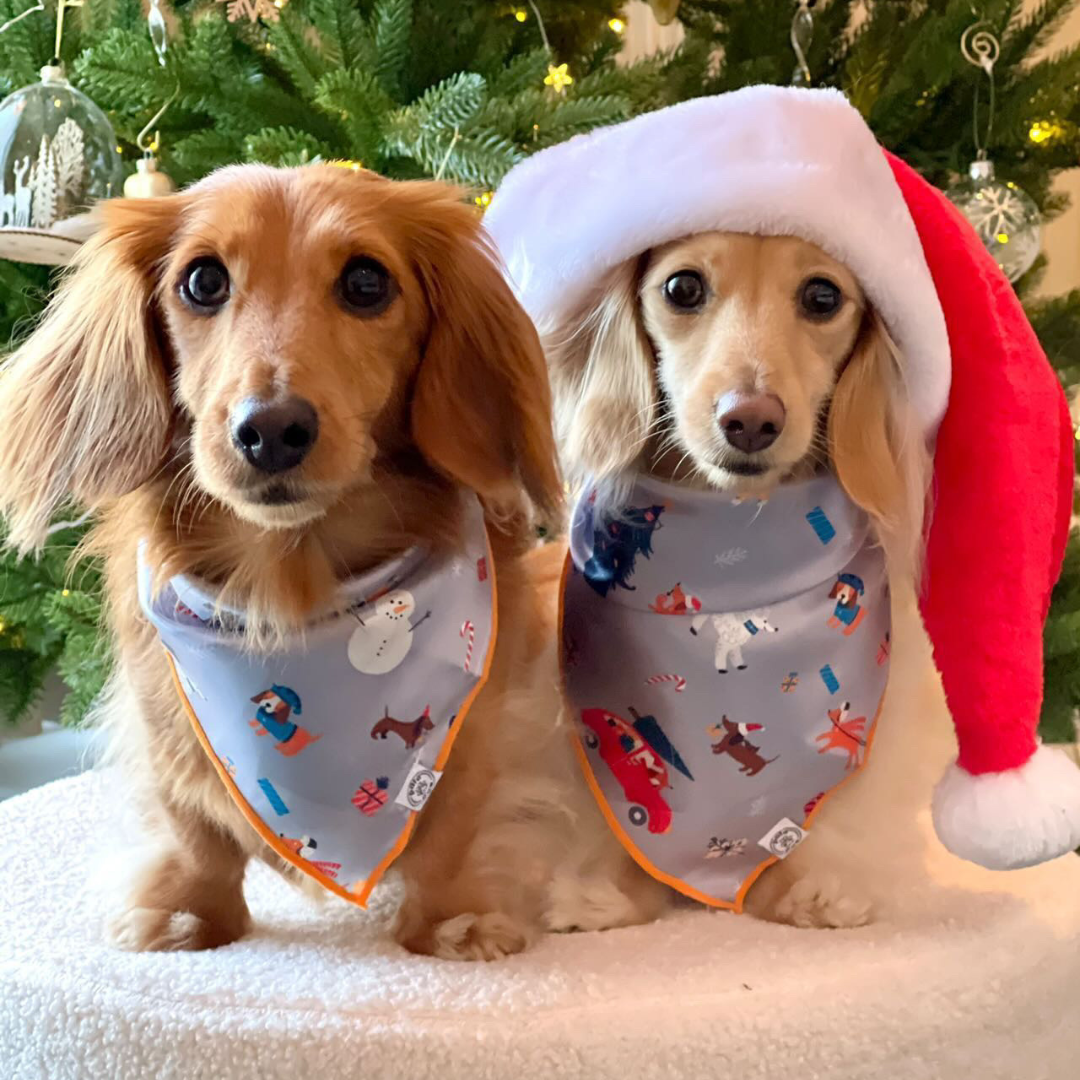 merry woofmas bandana
