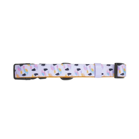 Pata Paw toucan tropics collar.