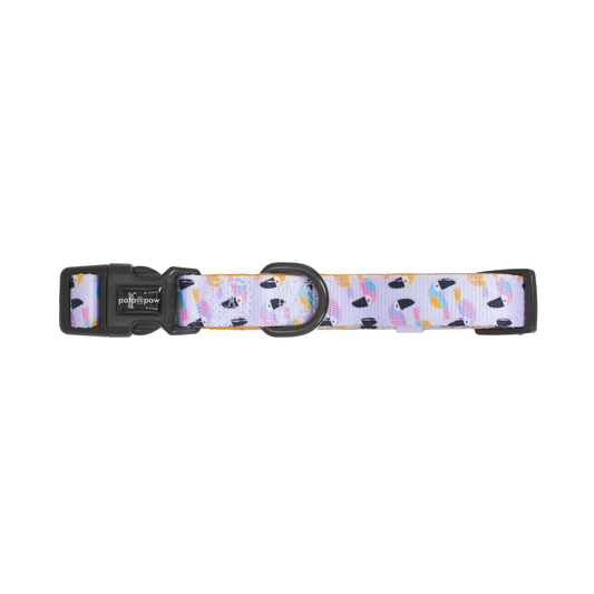 Pata Paw toucan tropics collar.