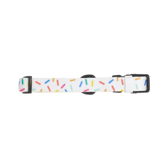 Pata Paw confetti collar.