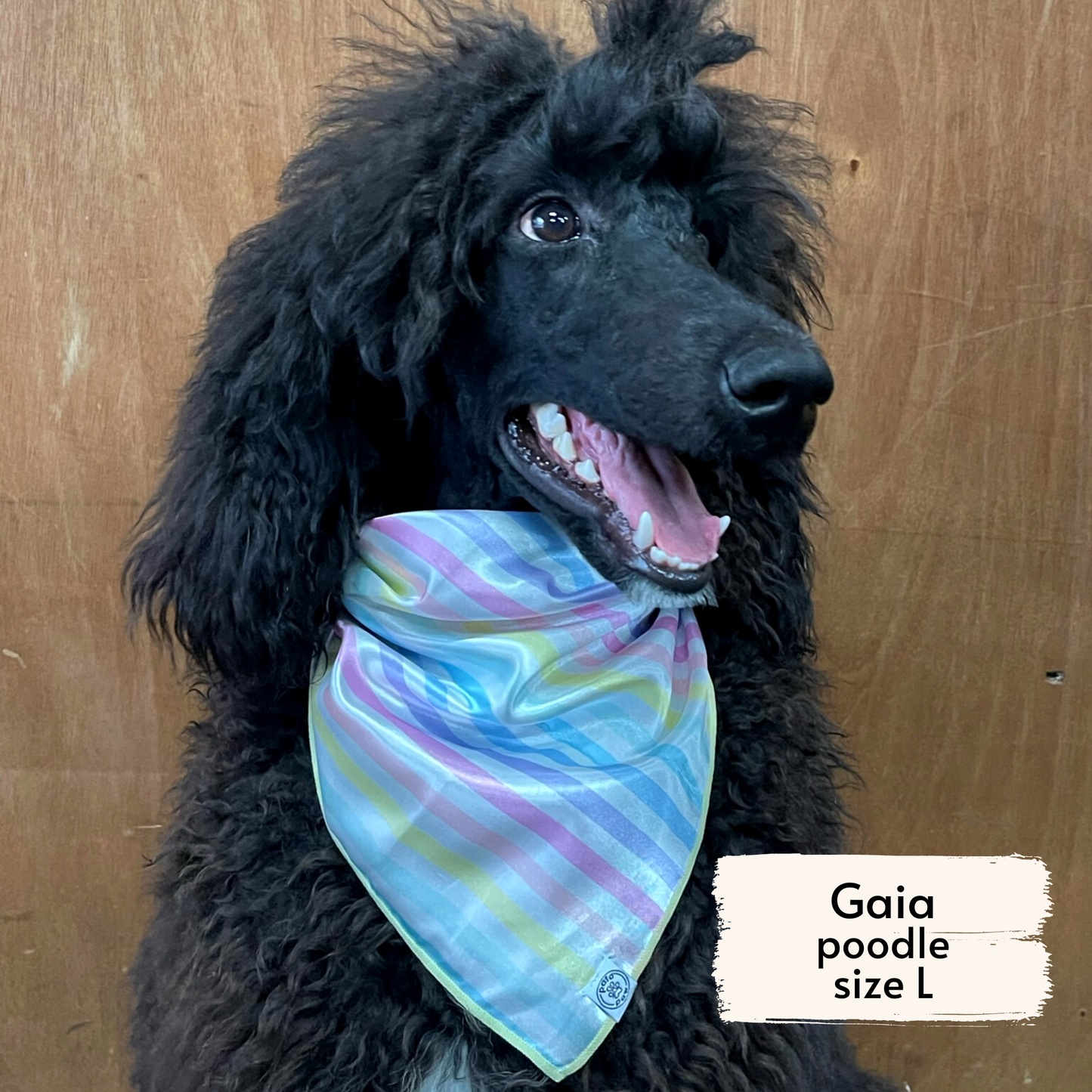 rainbow stripes bandana