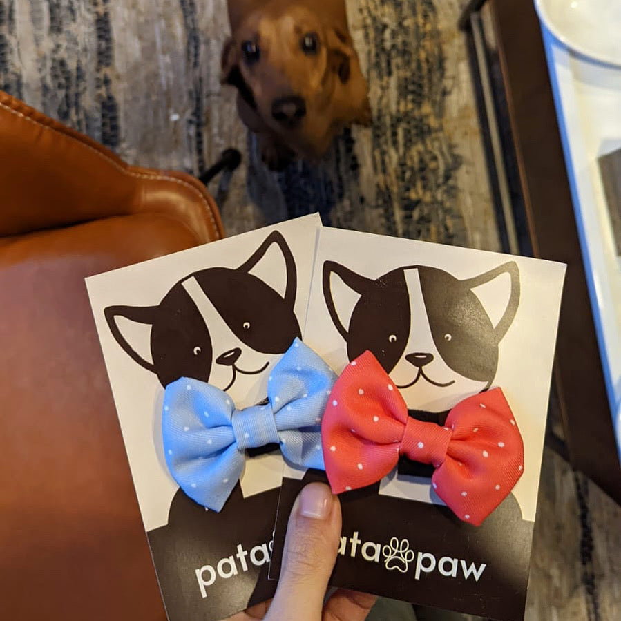 red polka dots bow tie