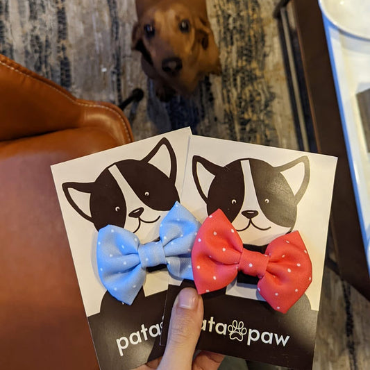 blue polka dots bow tie