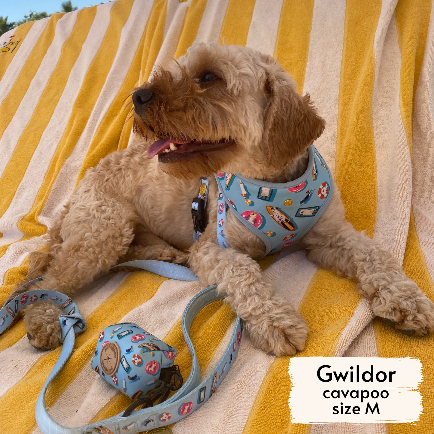 pool pups poop bag holder