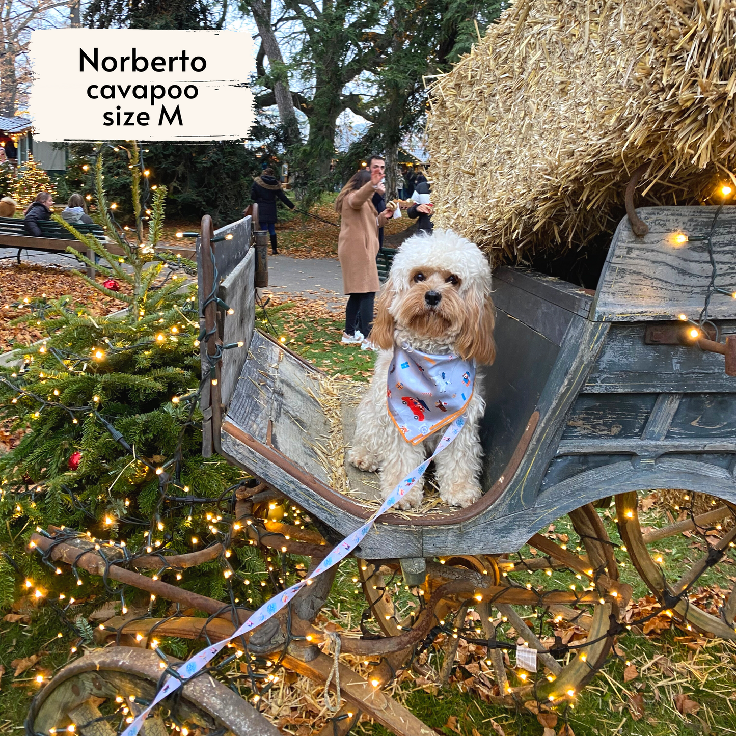 merry woofmas bandana
