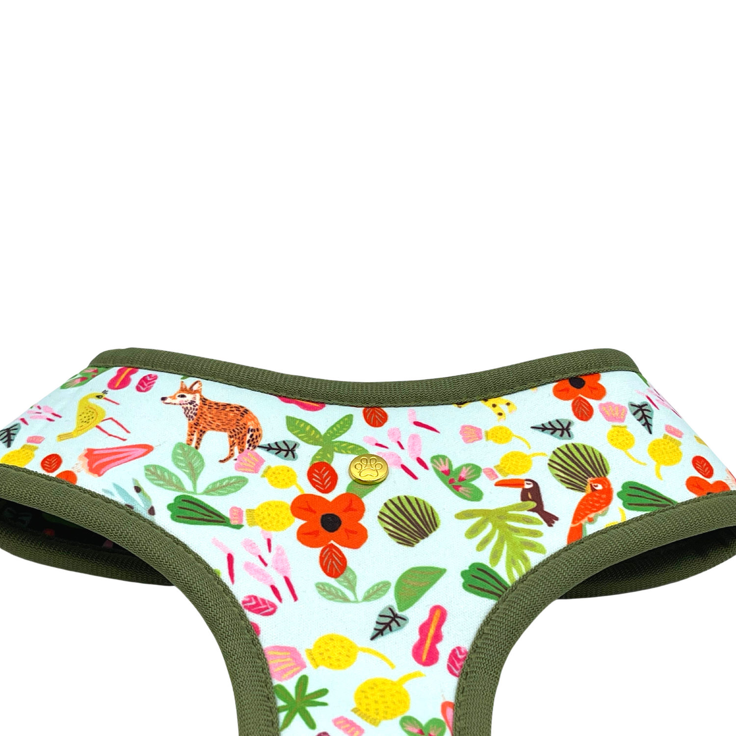 Pata Paw x Holalola reversible dog harness showing its golden medal