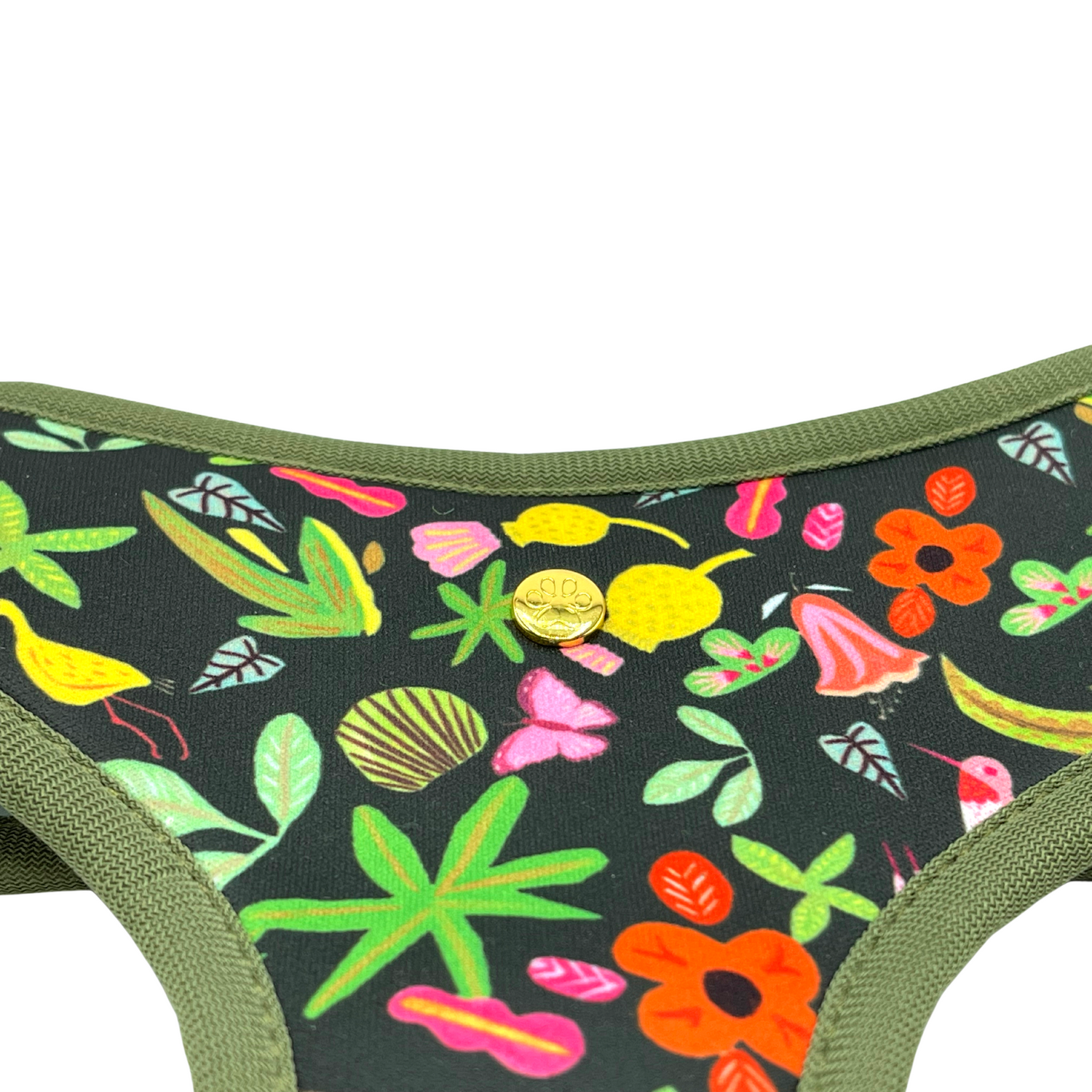 Pata Paw x Holalola reversible dog harness showing its golden medal