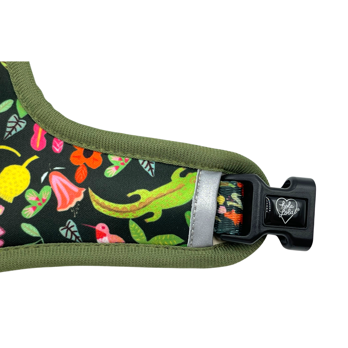 Pata Paw x Holalola reversible dog harness showing its buckles