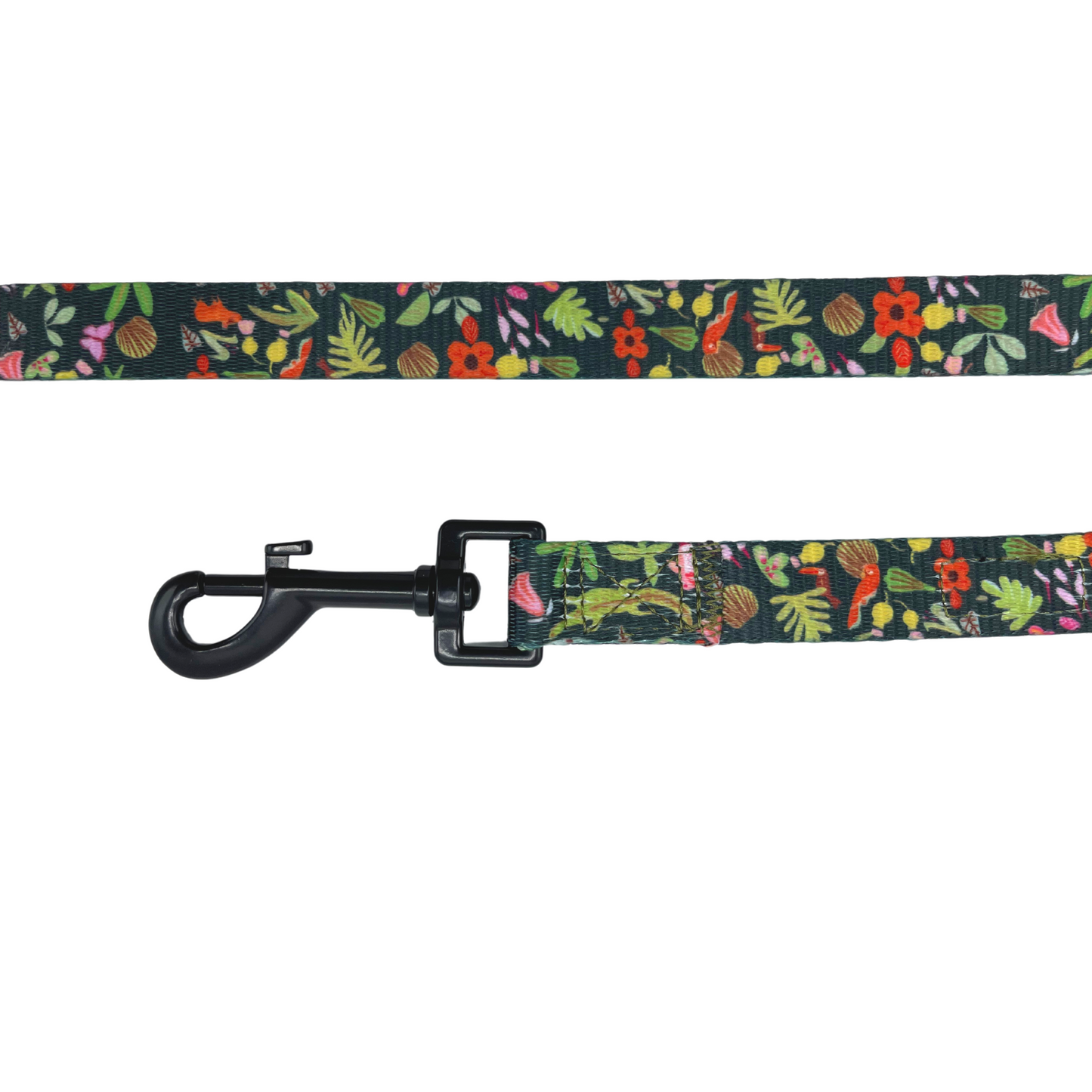 Pata Paw x Holalola leash