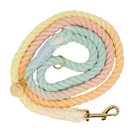 pata paw pastel shades rope leash