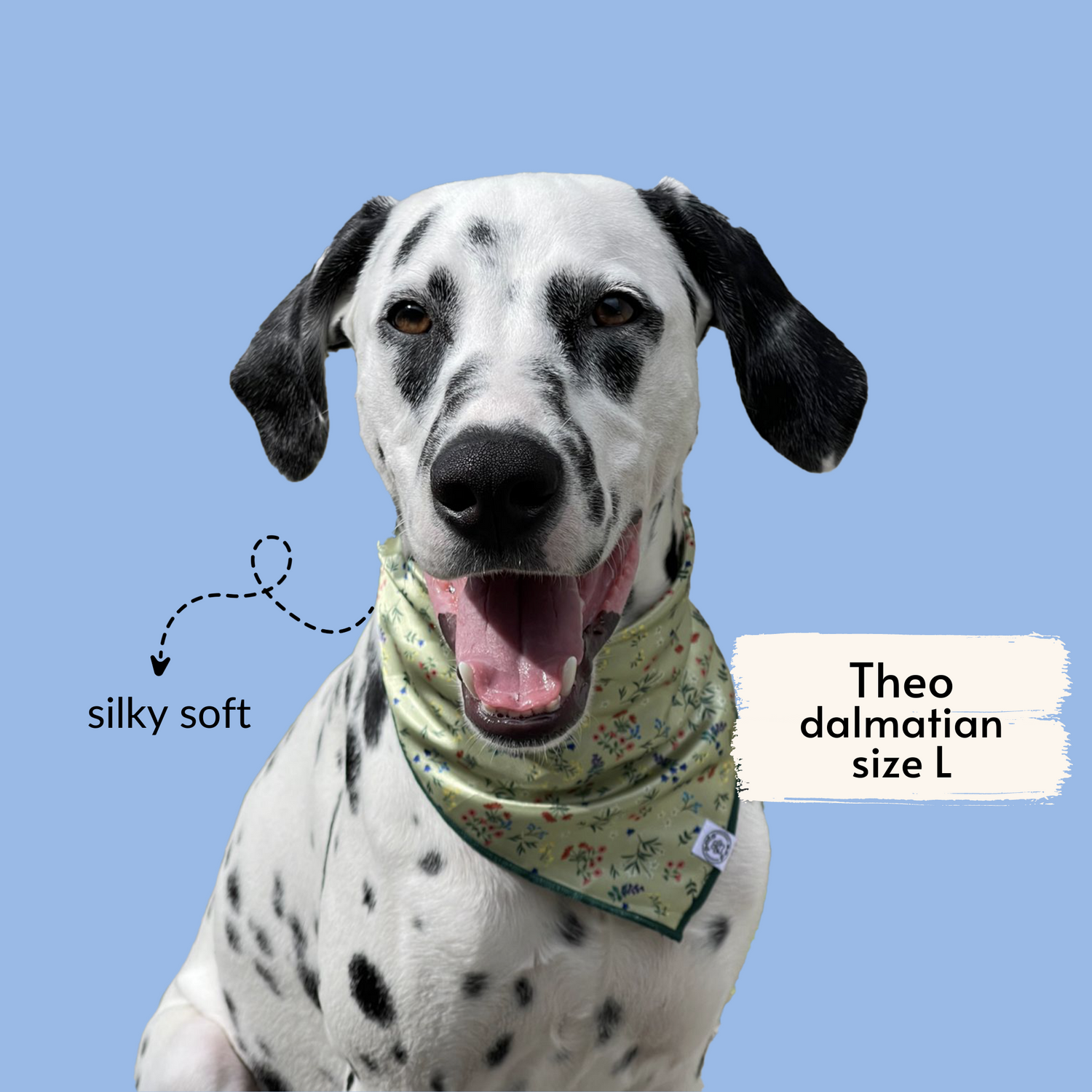 pata paw alpine wildflowers bandana as seen on a large dog, Theo, a dalmatian