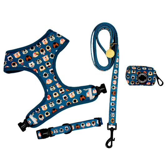 boops walking set