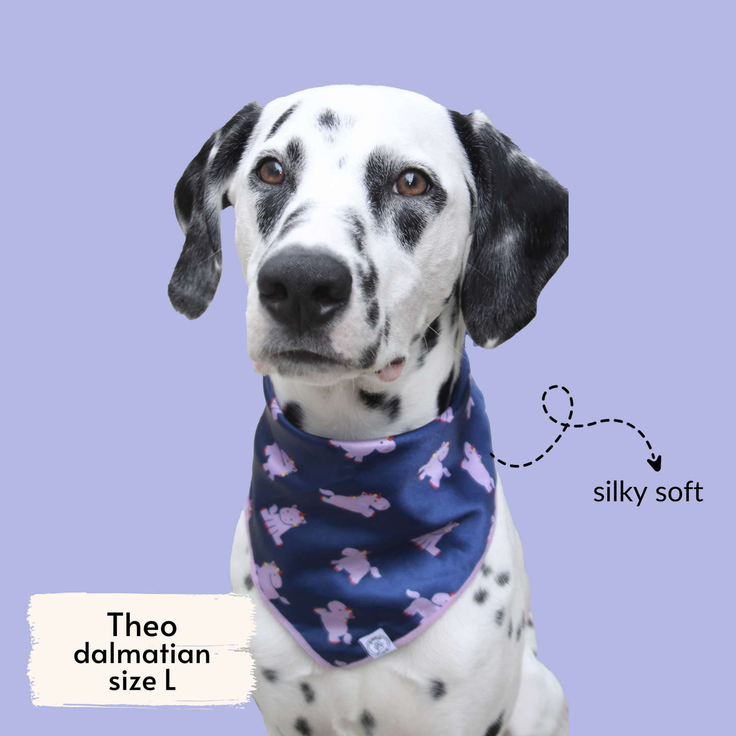 pata paw hero unicorn bandana as seen on a large dog, Theo, a dalmatian