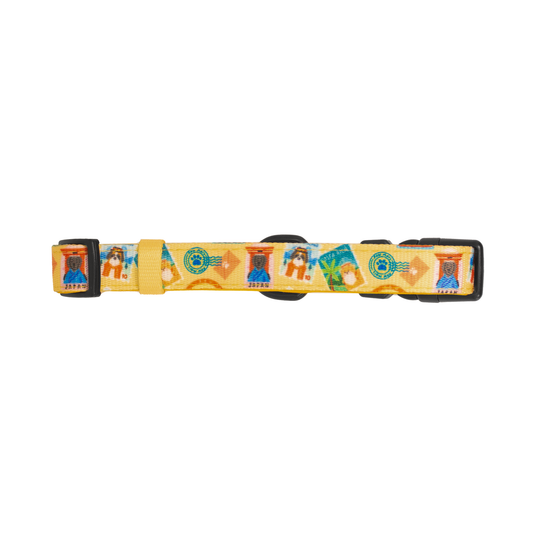 Pata Paw traveling pups collar.