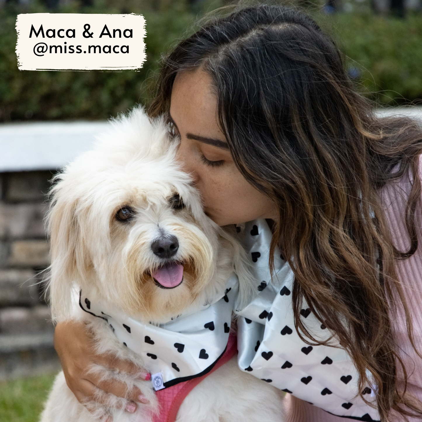 Miss Maca, fluffy rescue dog influencer, and her dog mom Ana wearing Pata Paw's Classic Hearts Bandana a size L.