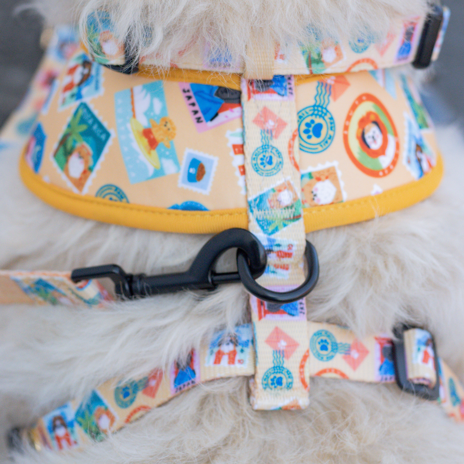 Miss Maca, fluffy dog influencer, wearing Pata Paw's Traveling Pups harness (size L)