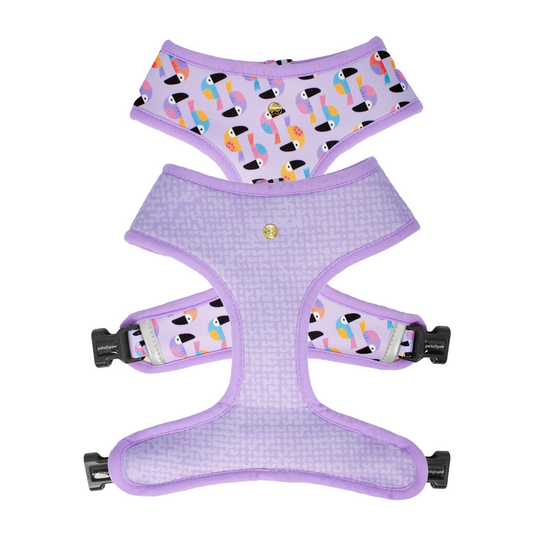 Pata Paw toucan tropics reversible dog harness showing both sides.