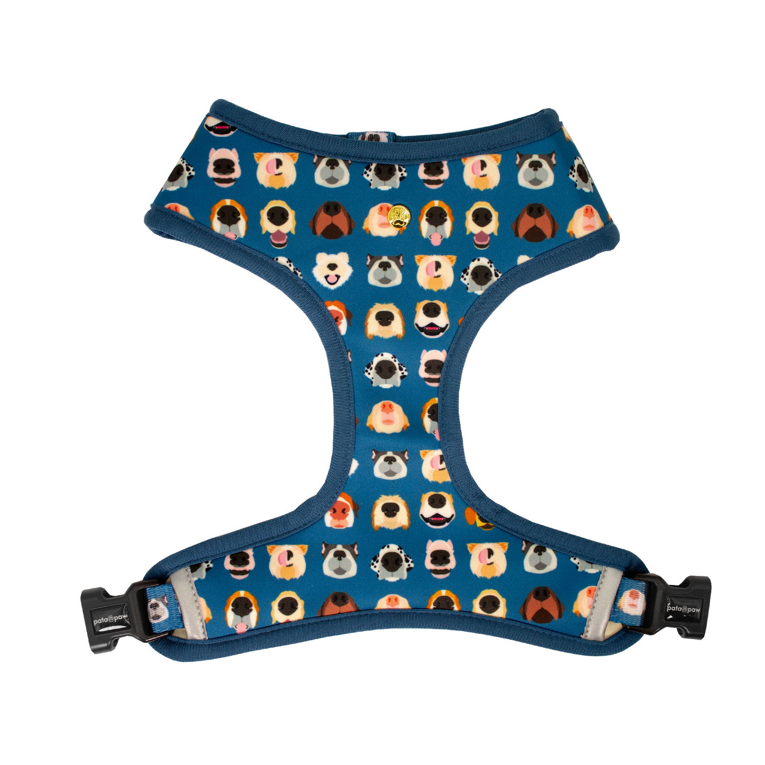 Pata Paw boops reversible harness.