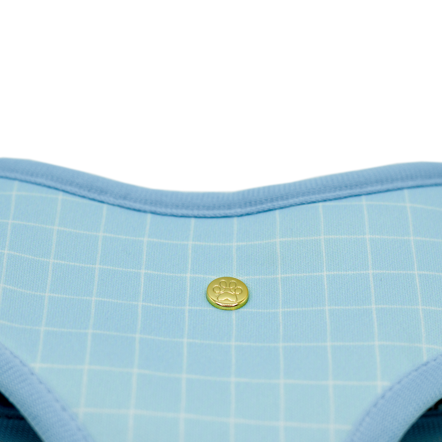 Pata Paw pool pups reversible harness showing a close-up of its golden paw and a timeless and chic checkered pattern in aqua blue.