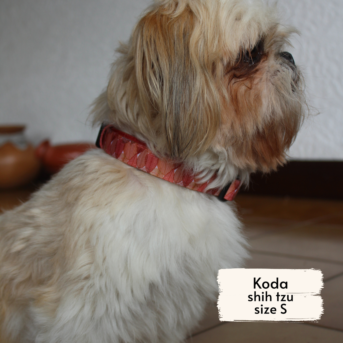 Pata Paw autumn crunch collar as seen on a small dog, Koda, a shih tzu.