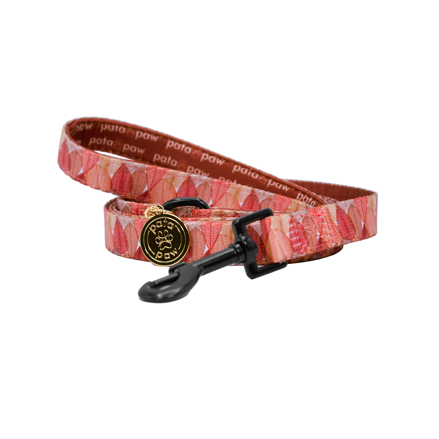 pata paw autumn crunch leash rolled up