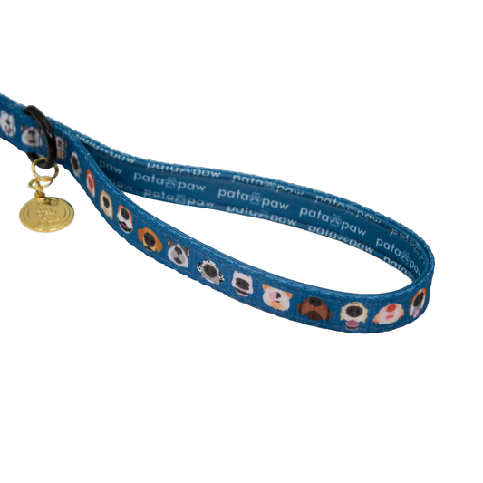 pata paw boops leash showing signature handle, metallic ring to attach a poop bag holder and golden paw medal