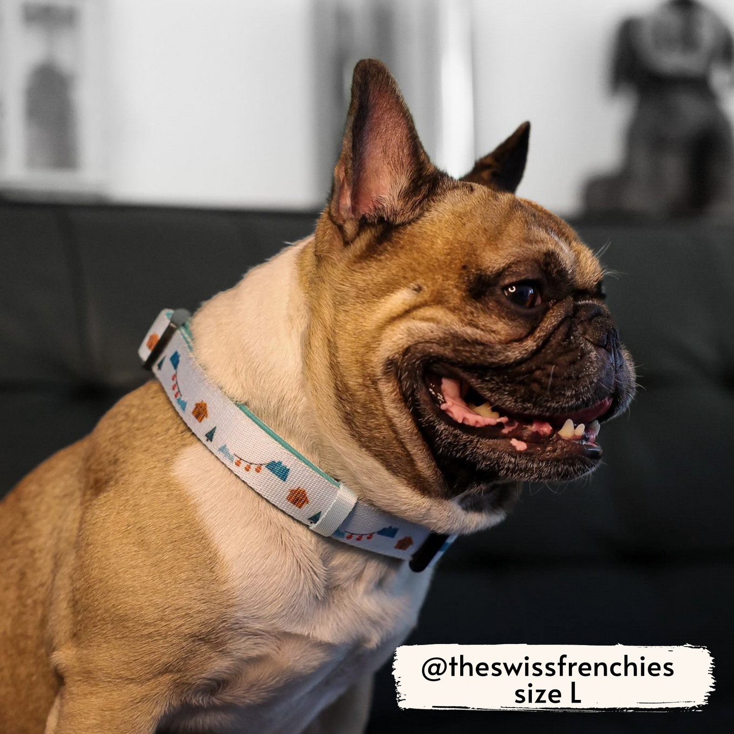 Les Alpes dog collar as seen on @theswissfrenchies, wearing size L
