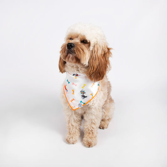 Pata Paw pawty bandana as seen on a medium-sized dog.