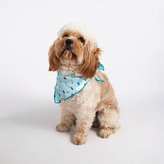 Pata Paw Swiss Alps bandana as seen on a medium-sized dog.