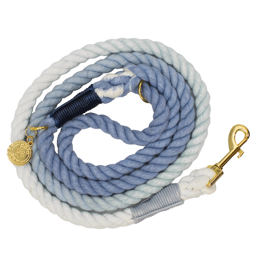 pata paw blue rope leash