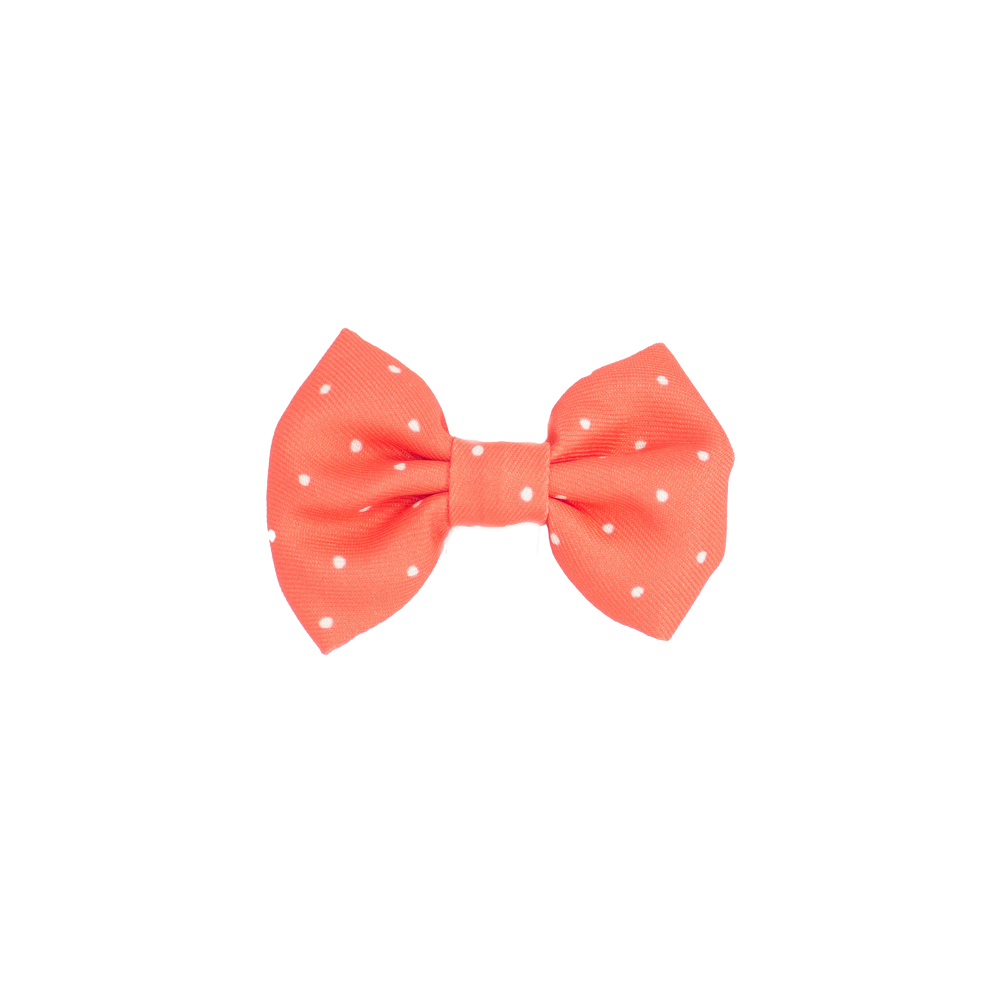 pata paw red polka dots bowtie