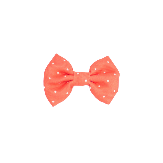 pata paw red polka dots bowtie