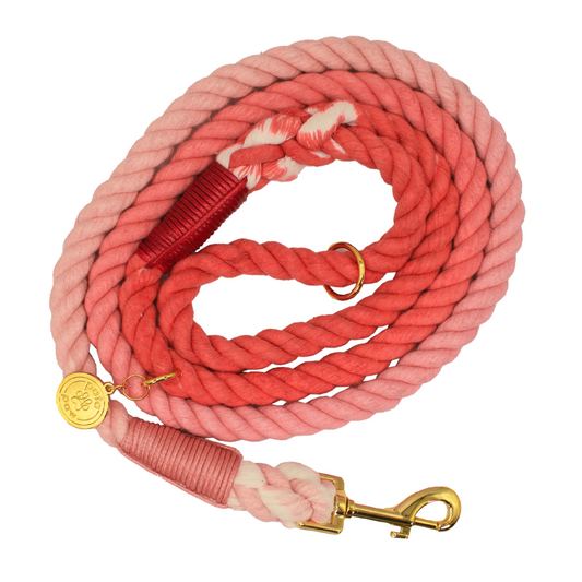 blush rope leash