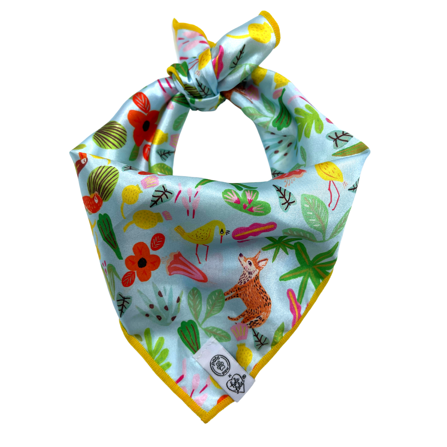 Pata Paw x Holalola bandana for dogs, cats and humans