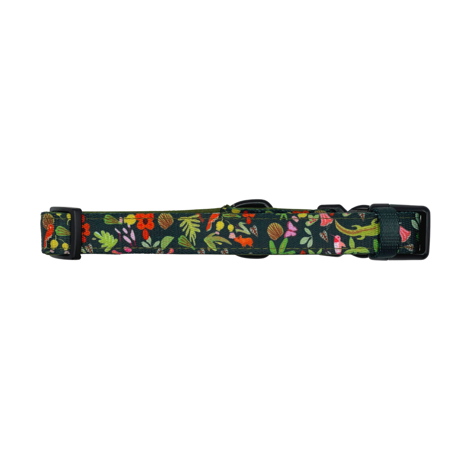 Pata Paw x Holalola collar for dogs and cats showing its backside