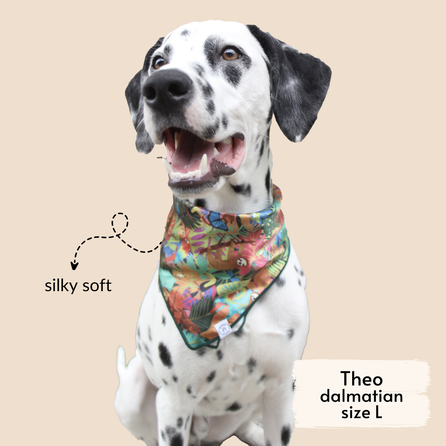 pata paw rainforest bandana as seen on a large dog, Theo, a dalmatian