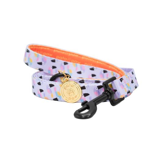 pata paw toucan tropics leash rolled up
