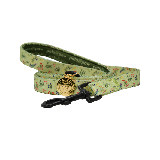pata paw alpine wildflowers leash rolled up