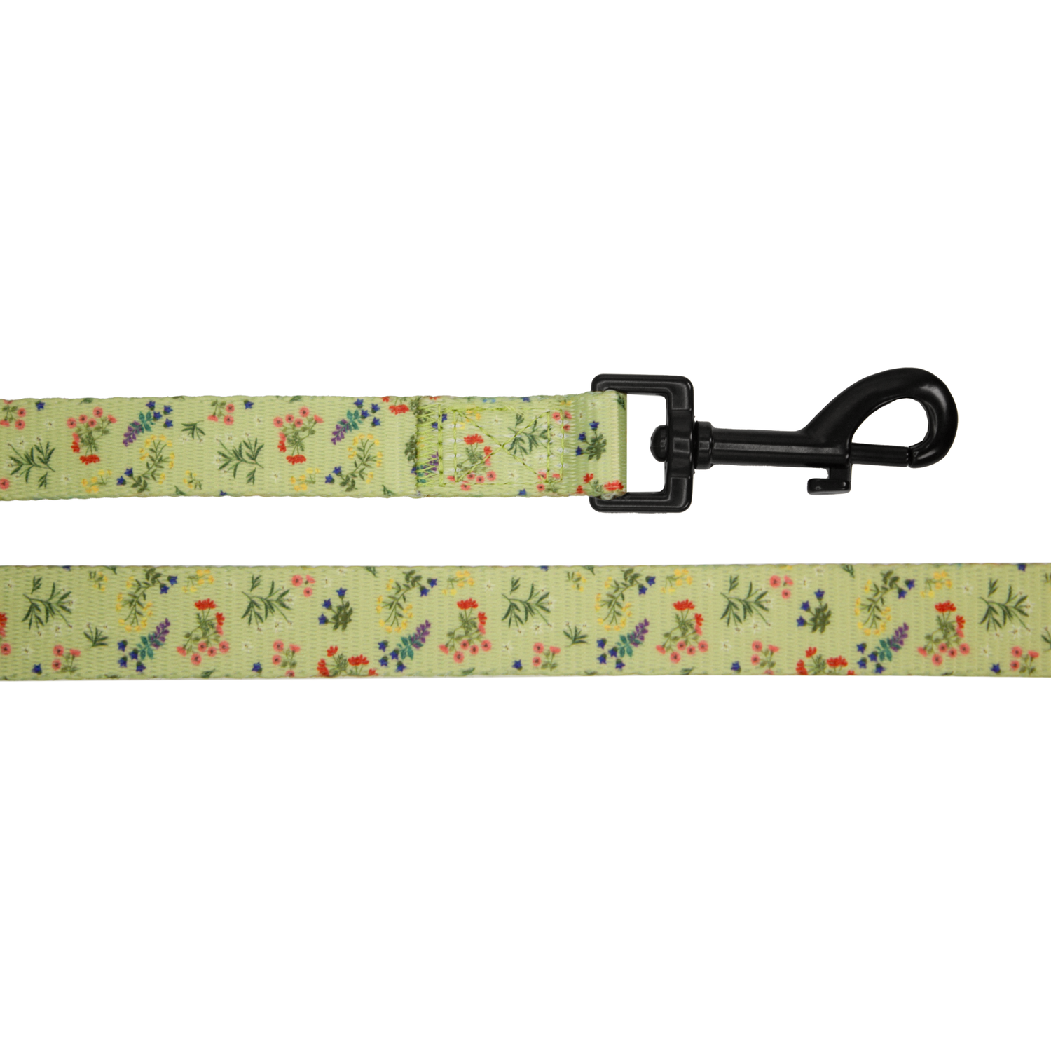 pata paw alpine wildflowers leash buckle and pattern